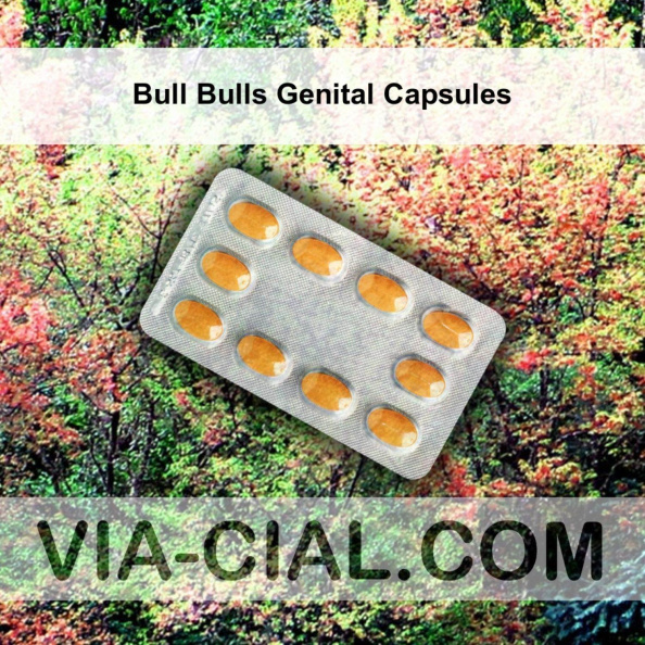 Bull Bulls Genital Capsules 384