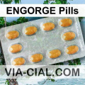 ENGORGE Pills 434
