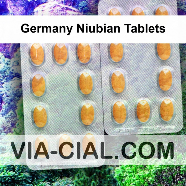 Germany_Niubian_Tablets_310.jpg
