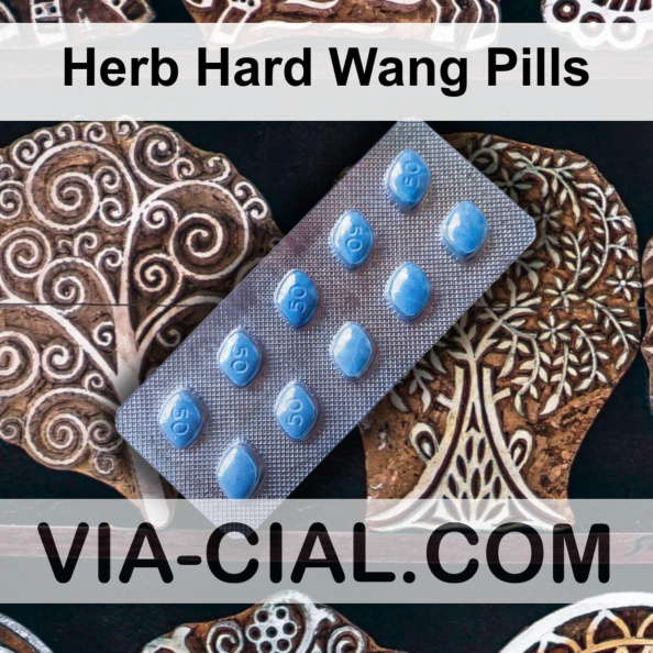 Herb_Hard_Wang_Pills_408.jpg