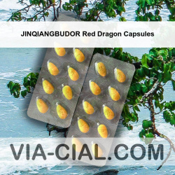 JINQIANGBUDOR Red Dragon