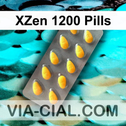XZen 1200