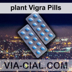 plant Vigra