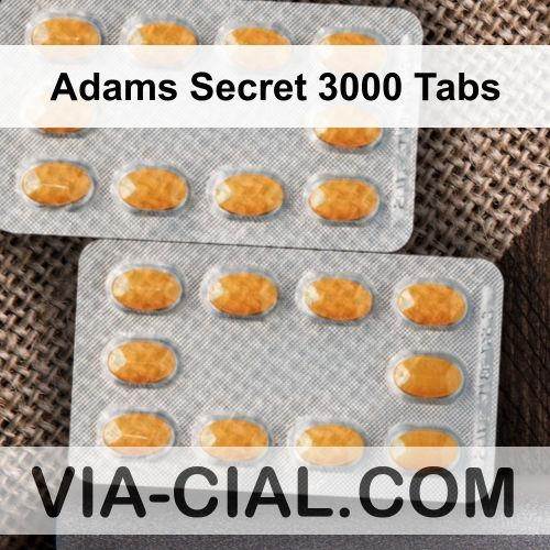 Adams_Secret_3000_Tabs_048.jpg