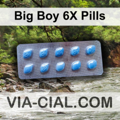 Big Boy 6X Pills 403