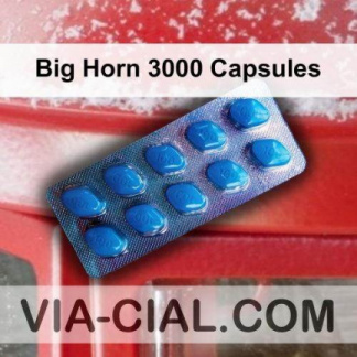 Big Horn 3000 Capsules 610