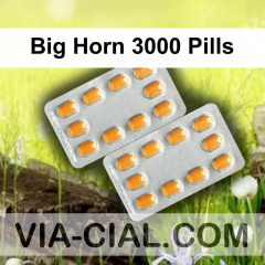 Big Horn 3000 Pills 646