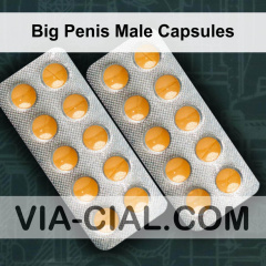 Big Penis Male Capsules 771