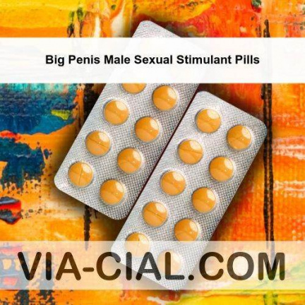 Big Penis Male Sexual Stimulant Pills 173