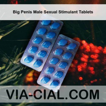 Big Penis Male Sexual Stimulant Tablets 114