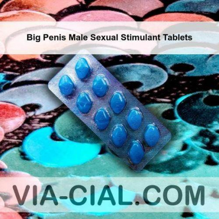 Big Penis Male Sexual Stimulant Tablets 323