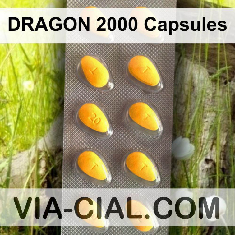 DRAGON 2000 Capsules 387