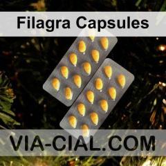 Filagra Capsules 587