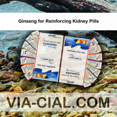Ginseng for Reinforcing Kidney Pills 691