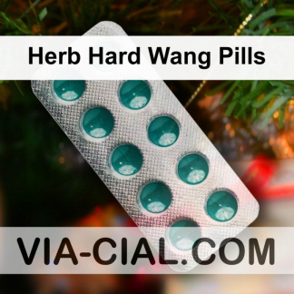 Herb Hard Wang Pills 312