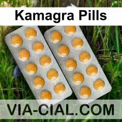Kamagra Pills 338