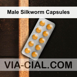 Male Silkworm