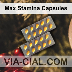 Max Stamina Capsules 064