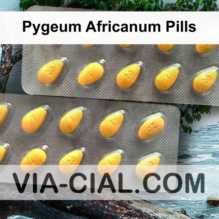 Pygeum Africanum Pills 537