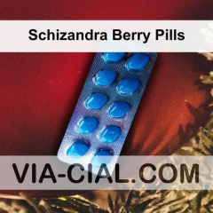 Schizandra Berry Pills 298