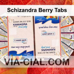 Schizandra Berry Tabs 869