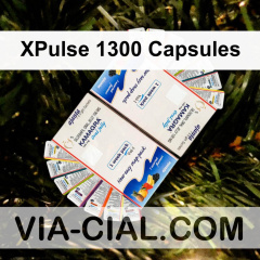 XPulse 1300 Capsules 021