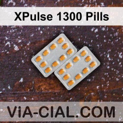 XPulse 1300