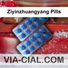 Ziyinzhuangyang Pills 306
